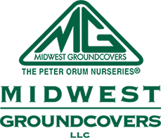 Midwest Groundcovers 229x196